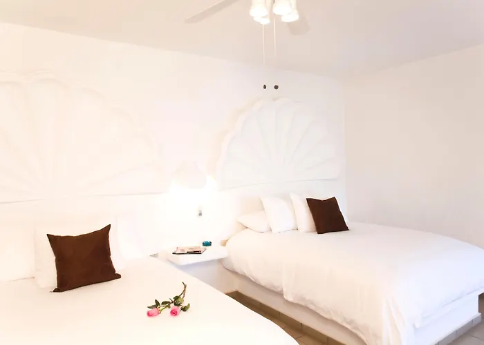 Hotel Bahia & House